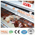 Layer Cage de pollo Equipamiento Layer Cage